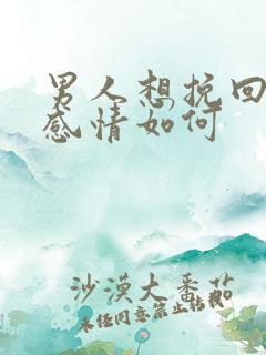 男人想挽回一段感情如何