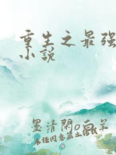 重生之最强大亨小说