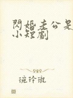 闪婚老公是豪门小短剧