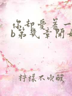 你却爱着一个sb第几章开始追妻火葬场