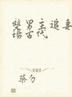 双男主追妻火葬场古代