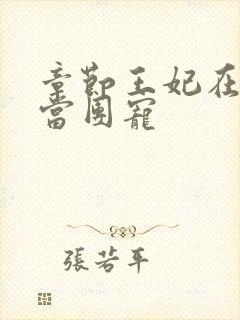 章节王妃在京城当团宠