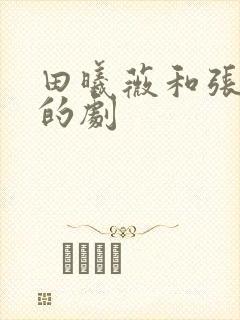 田曦薇和张凌赫的剧