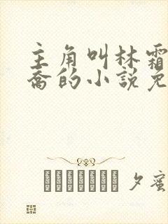 主角叫林霜苏晚乔的小说免费阅读