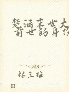 楚涵末世大回炉 前世的身份