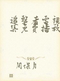 追击者电视剧全集免费播放高清