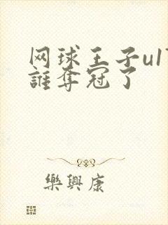 网球王子u17谁夺冠了