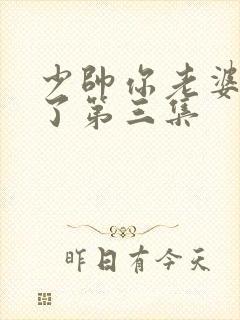 少帅你老婆又跑了第三集