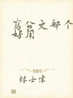 写公文哪个ai好用