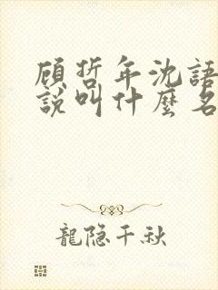 顾哲年沈语然小说叫什么名字