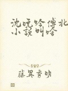 沈晚吟傅北峥的小说叫啥