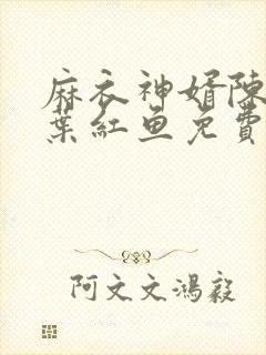 麻衣神婿陈黄皮叶红鱼免费听