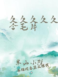 久久久久久久综合毛片