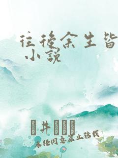 往后余生皆是你 小说