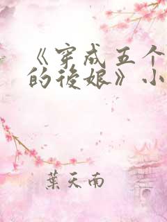 《穿成五个反派的后娘》小说