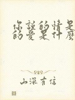 你说的情是我说的爱是什么歌