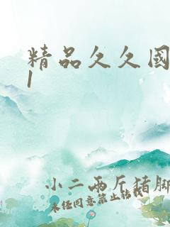 精品久久国产91