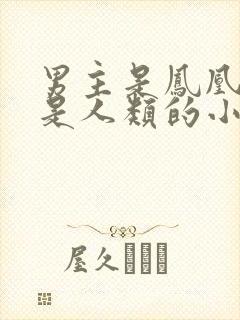 男主是凤凰女主是人类的小说