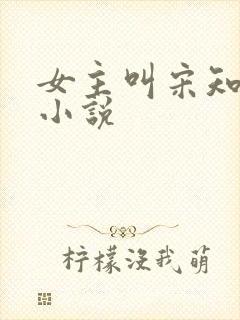 女主叫宋知意的小说
