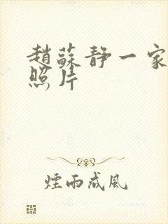 赵苏静一家三口照片