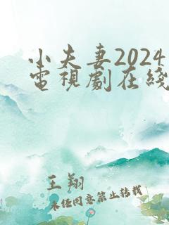 小夫妻2024电视剧在线观看全集免费高清