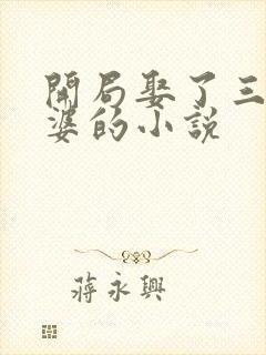 开局娶了三个老婆的小说