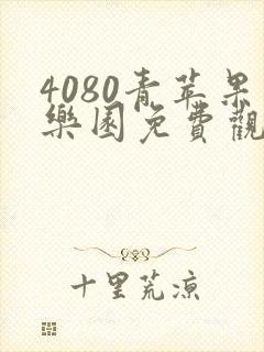 4080青苹果乐园免费观看电视剧高清