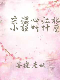 宋温心江北寒的小说叫什么