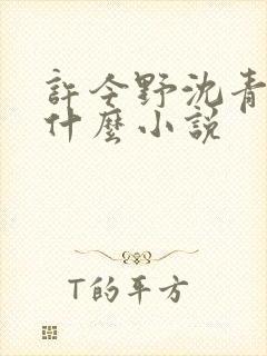 许今野沈青棠是什么小说