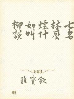 柳如烟林七夜小说叫什么名字