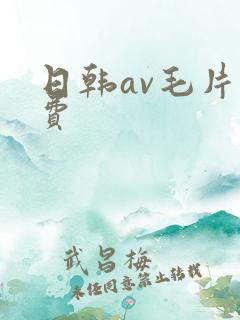 日韩av毛片免费