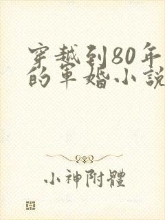 穿越到80年代的军婚小说