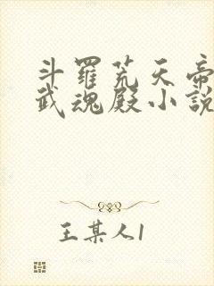 斗罗荒天帝降临武魂殿小说免费阅读