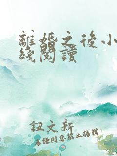 离婚之后小说在线阅读