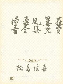 扫毒风暴在线观看全集免费播放