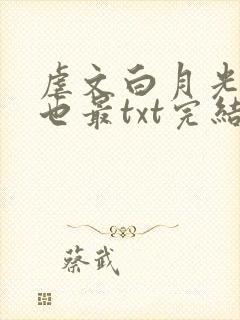 虐文白月光他黯也最txt完结