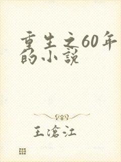 重生之60年代的小说