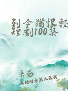 到今犹恨轻别离短剧100集