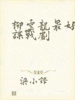 柳云龙最好看的谍战剧