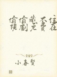 偷偷藏不住 电视剧免费在线观看