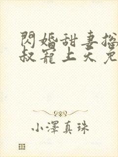 闪婚甜妻总裁大叔宠上天免费