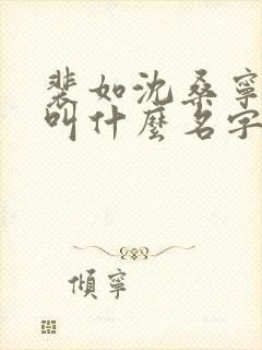 裴如沈桑宁小说叫什么名字