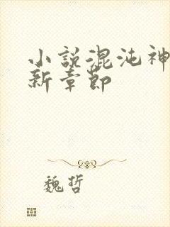 小说混沌神王最新章节