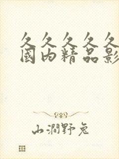 久久久久久久久国内精品影视