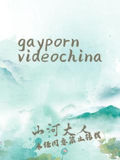 gaypornvideochina