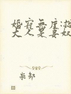 婚宠无度:总裁大人是妻奴