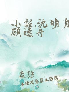 小说,沈明月,顾远舟