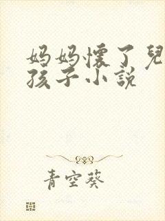 妈妈怀了儿子的孩子小说