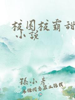 校园校霸甜宠文 小说