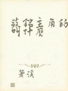 苏铭主角的小说叫什么